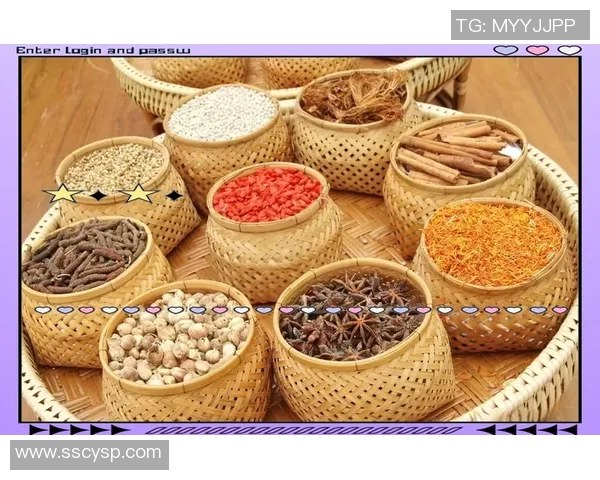 南京篮球队的崛起之路：从默默无闻到钻石联赛的璀璨明星