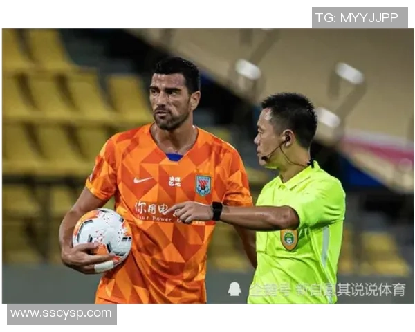 北京排球队阵地战体系解析与战术创新探讨