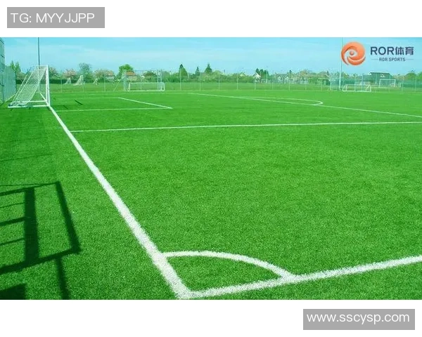 足球场上的风采与魅力长发飘逸的足球明星们展现独特个性与风格