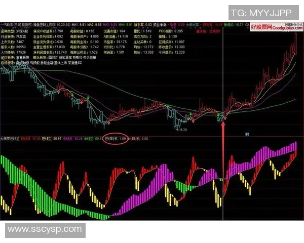 杭州足球队实力解析:大满贯点评与未来展望 杭州足球队实力解析:大满贯点评与未来展望