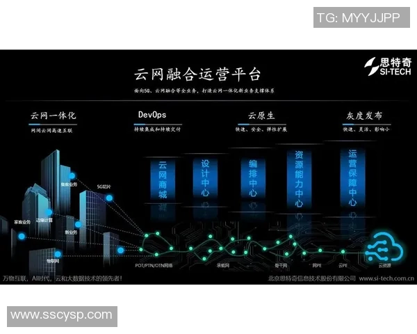 武汉排球队运营策略深度分析与发展前景探讨
