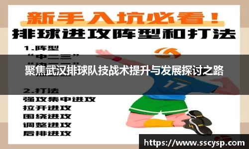 聚焦武汉排球队技战术提升与发展探讨之路
